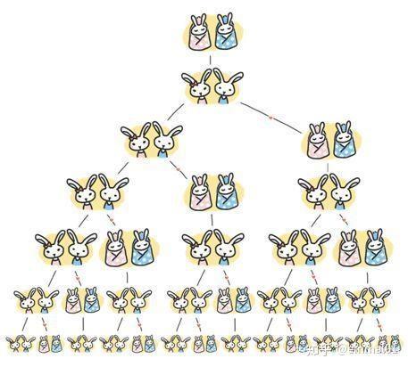 黄金分割在自然界_斐波那契数列生活应用_斐波那契数列应用