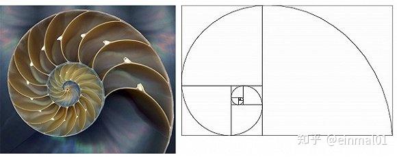 黄金分割在自然界_斐波那契数列生活应用_斐波那契数列应用