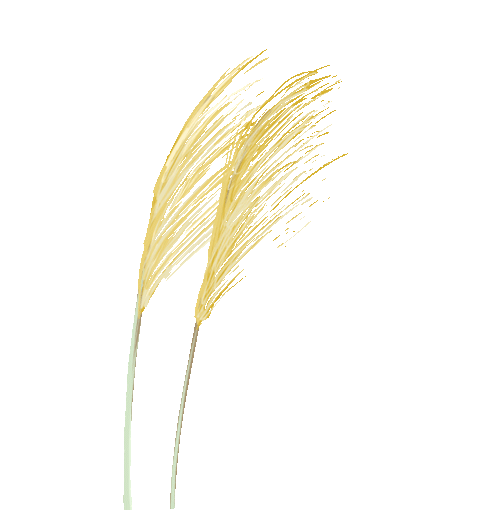 牛顿第二定律生活应用_应用定律牛顿生活中的例子_牛顿定律在我们生活中的应用