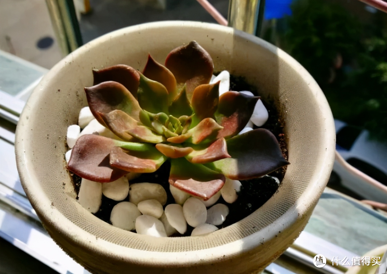 偷老师的丝袜贴吧_丝袜生活妙用_丝袜特殊用途