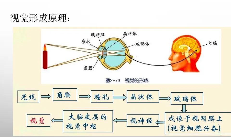 应用挂载器原理_数学应用题解答器_听诊器原理生活应用