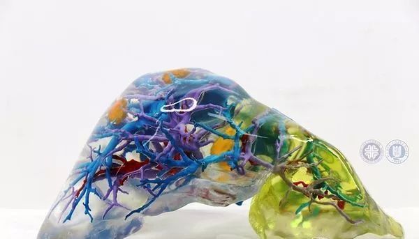 黑科技应用市场_搜罗全网黑科技应用_生活黑科技应用