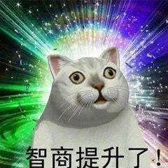 有哪些一玩就上瘾的手机游戏？