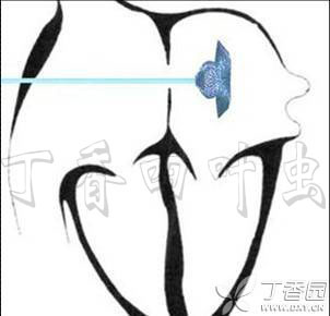 虫哥说图系列5_虫哥个人资料_虫哥原创作品