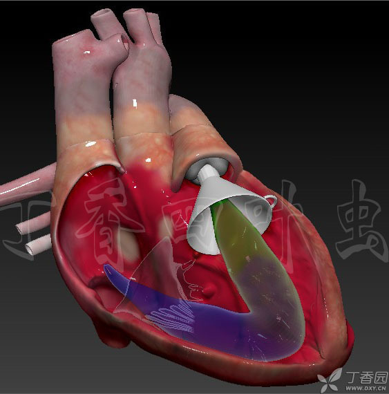 虫哥说图系列5_虫哥现身_虫哥b站
