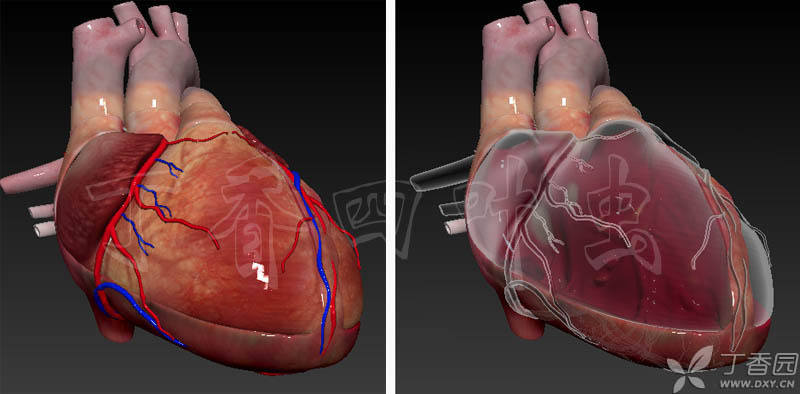 虫哥现身_虫哥b站_虫哥说图系列5