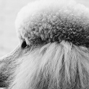 客户往来明细对账单模板_客户往来对账单表格_律师解答对账单效力