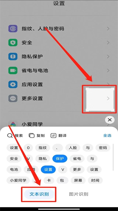 小米传送门(Taplus)app官方手机版