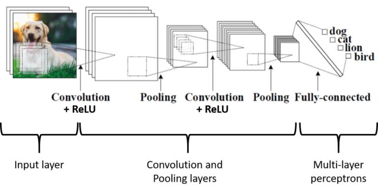 卷积在生活应用_卷积神经网络基本概念_卷积神经网络入门教程