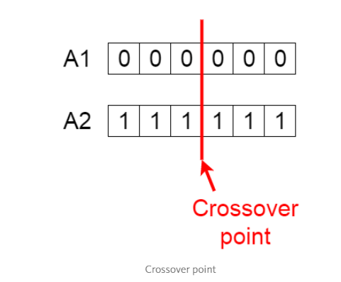 遗传算法Java实现_遗传算法原理详解_遗传算法应用生活实例