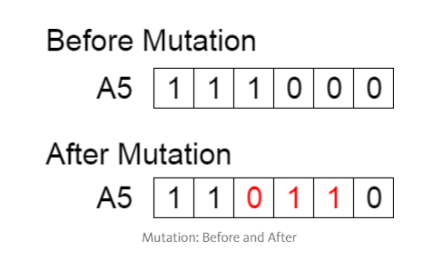 遗传算法应用生活实例_遗传算法Java实现_遗传算法原理详解
