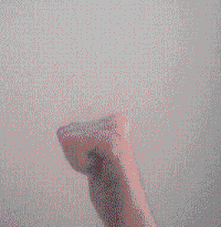 斐波那契数列生活应用_斐波那契数列应用题_斐波那契数列生活中的例子