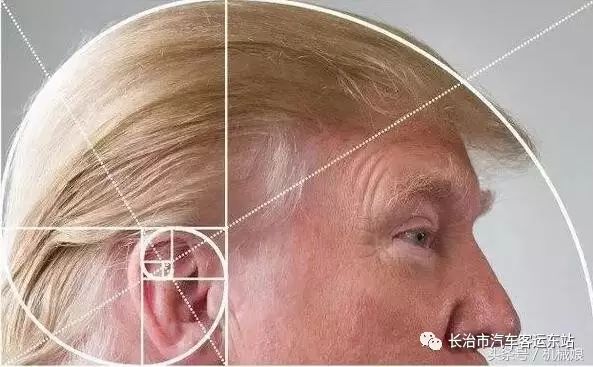 斐波那契数列应用题_斐波那契数列生活中的例子_斐波那契数列生活应用