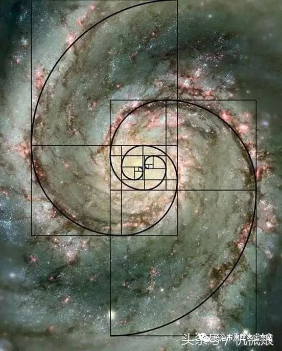 斐波那契数列生活应用_斐波那契数列生活中的例子_斐波那契数列应用题