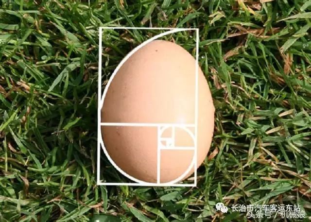 斐波那契数列应用题_斐波那契数列生活中的例子_斐波那契数列生活应用