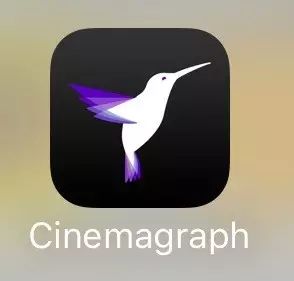 网页美拍怎么发布视频_美拍网页版制作视频_视频网页美拍制作版在线观看