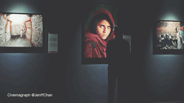 视频网页美拍制作版在线观看_网页美拍怎么发布视频_美拍网页版制作视频