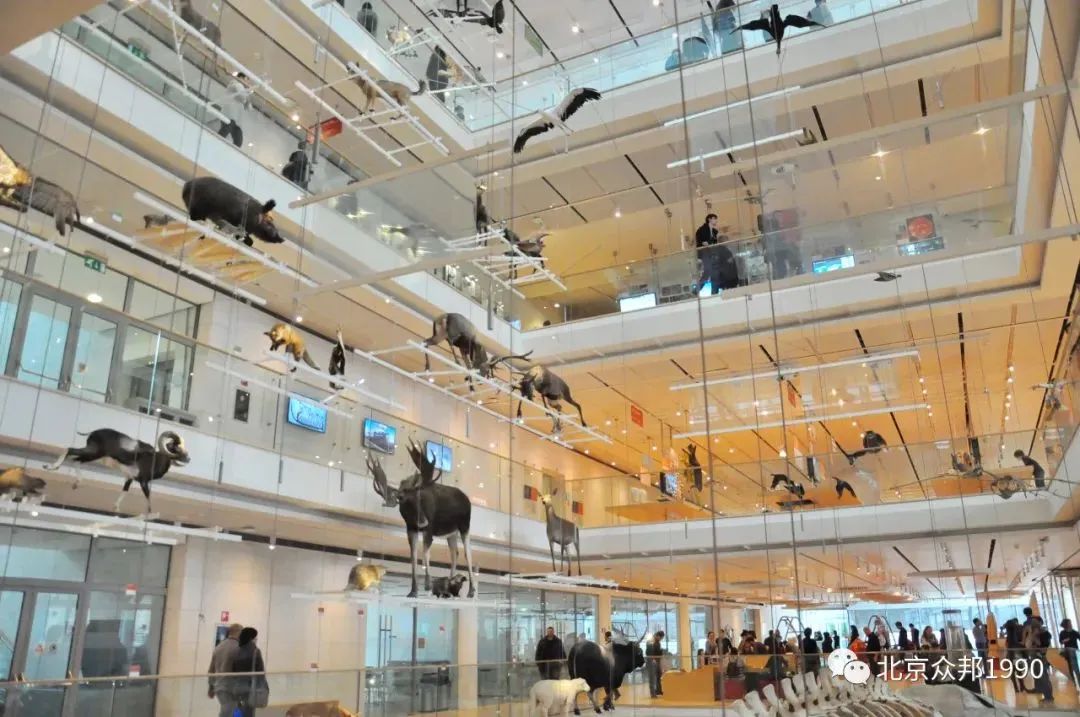 锥体上滚的实际应用_锥体上滚的实验现象_椎体上滚生活应用