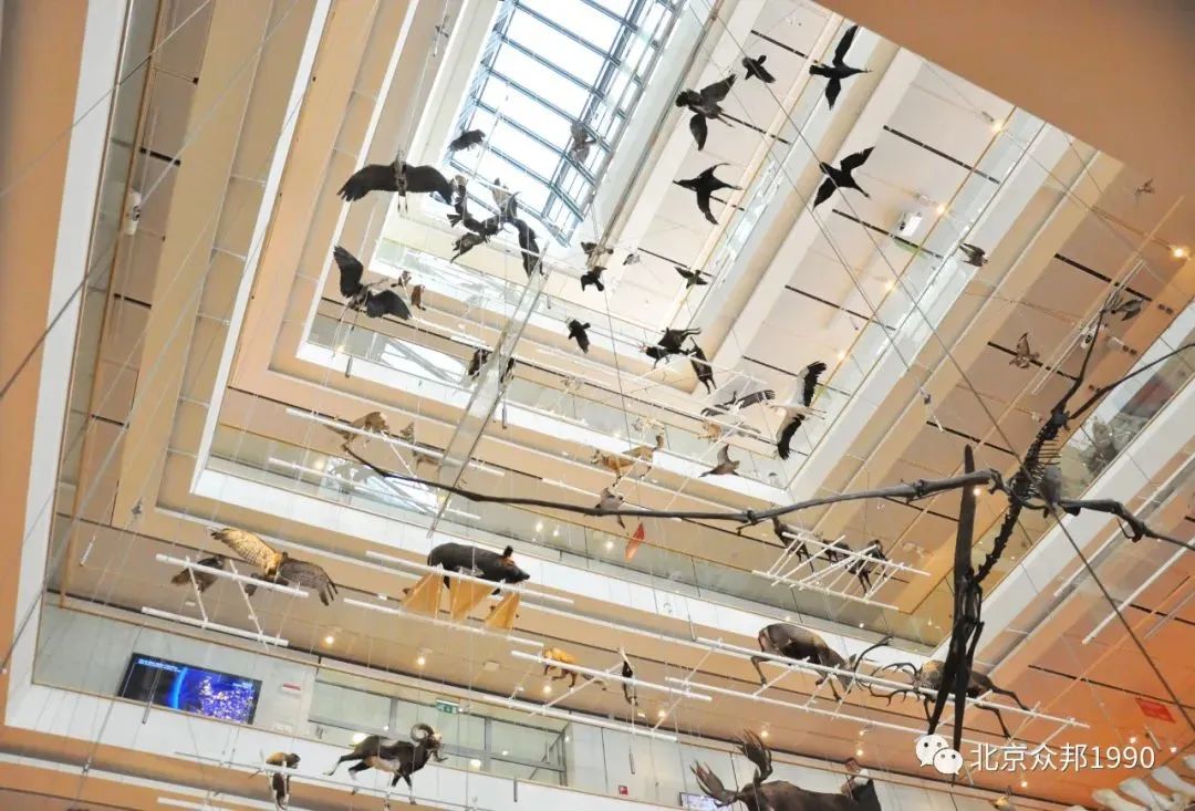 锥体上滚的实验现象_锥体上滚的实际应用_椎体上滚生活应用