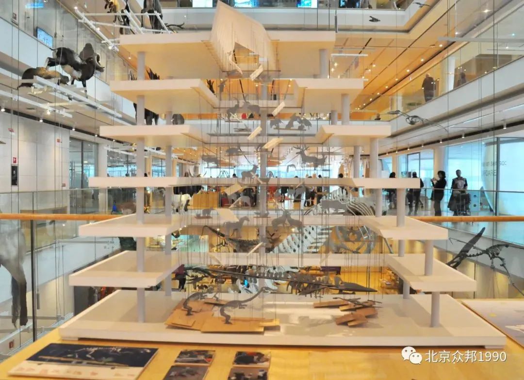 锥体上滚的实验现象_椎体上滚生活应用_锥体上滚的实际应用