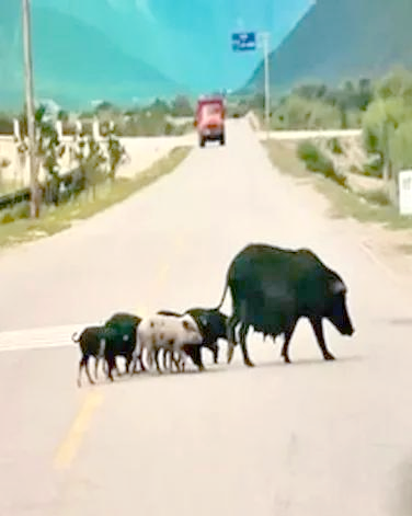 各种蕴含智慧的逆向思维小故事