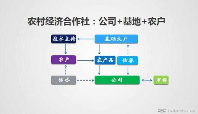 pg下载 集体经济中合作社的运营模式与实践研究