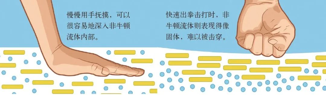 非牛顿流体生活应用_藕粉非牛顿流体_非牛顿流体特性