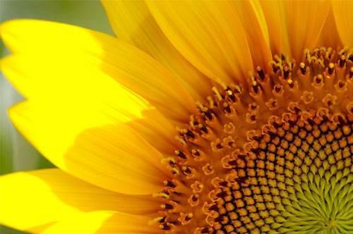 物理化学的生活应用_物理化学实际应用_物理化学在生活应用