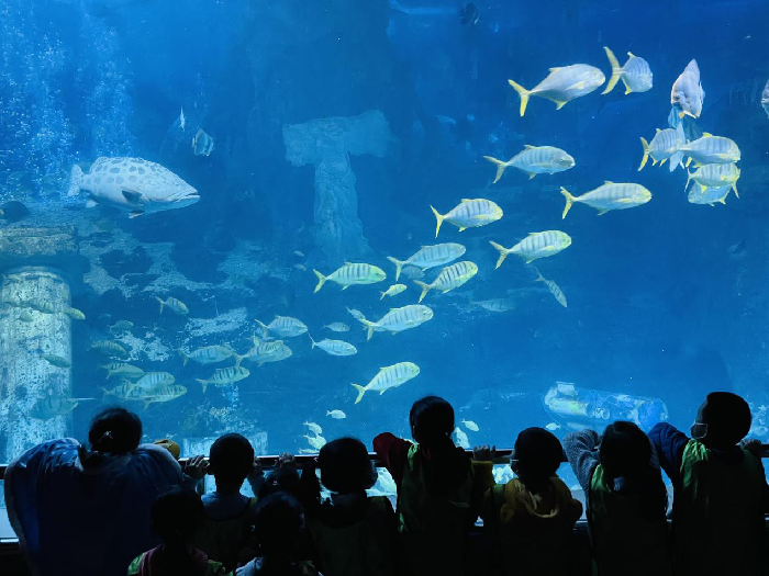 锥体上滚的实际应用_锥体上滚日常生活应用_锥体上滚生活应用