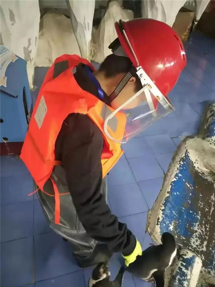 锥体上滚生活应用_锥体上滚日常生活应用_锥体上滚的实际应用