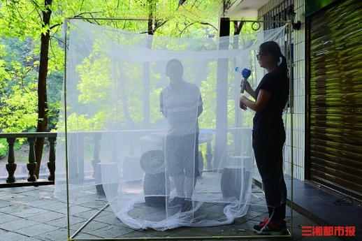 雨水充沛，今年长沙蚊子有点多