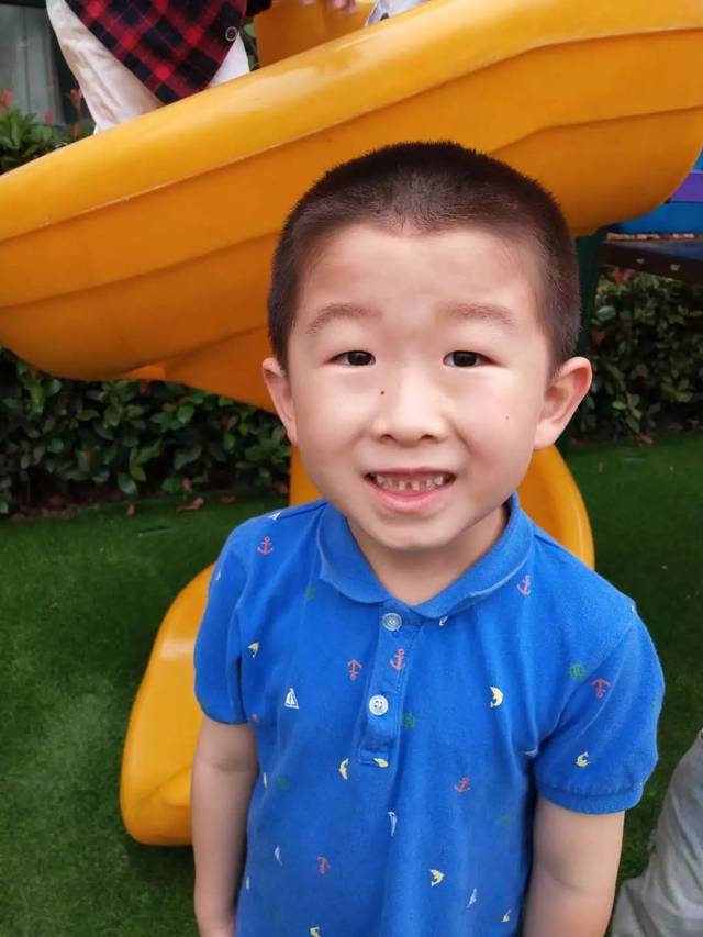 豆宝宝的旅行教案ppt_豆宝宝旅行记绘本视频_豆宝宝的旅行