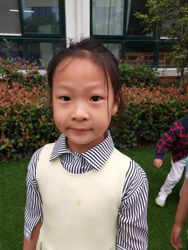 豆宝宝旅行记绘本视频_豆宝宝的旅行_豆宝宝的旅行教案ppt