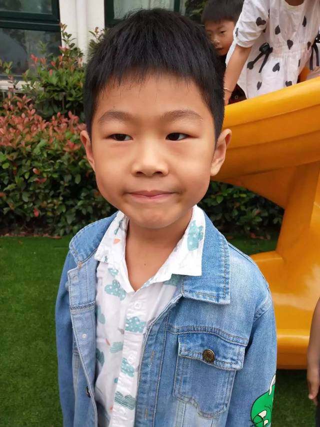 豆宝宝旅行记绘本视频_豆宝宝的旅行教案ppt_豆宝宝的旅行