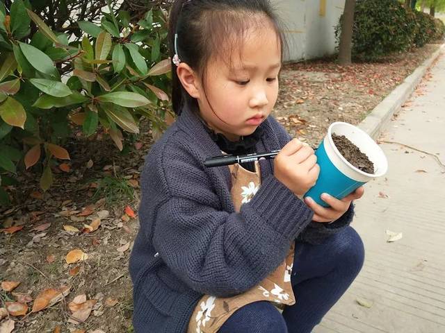 豆宝宝的旅行教案ppt_豆宝宝旅行记绘本视频_豆宝宝的旅行