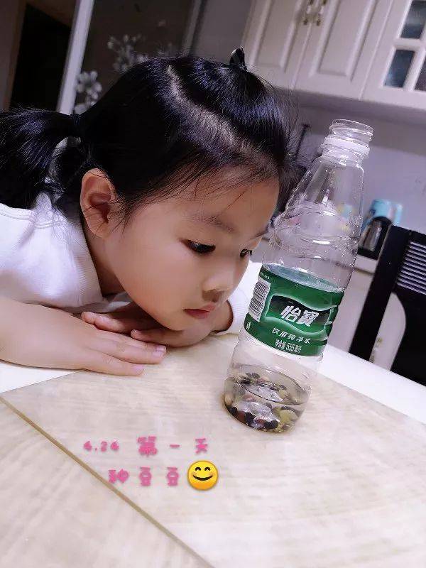 豆宝宝的旅行教案ppt_豆宝宝旅行记绘本视频_豆宝宝的旅行