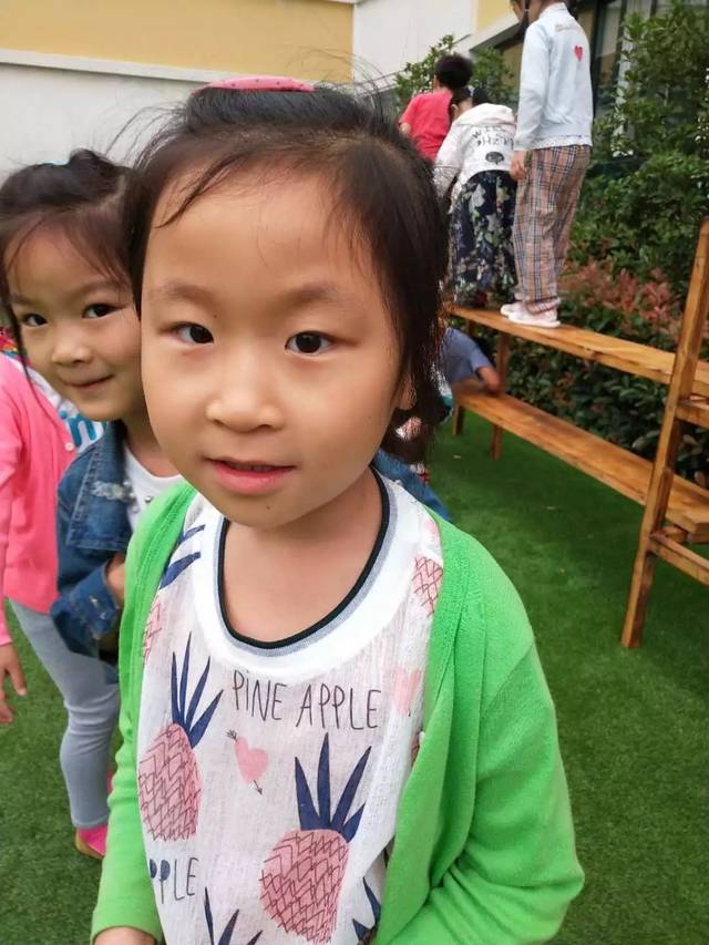 豆宝宝旅行记绘本视频_豆宝宝的旅行_豆宝宝的旅行教案ppt