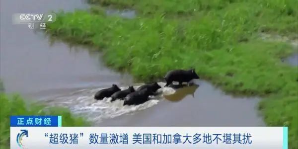 郑州地铁播报语音内容_郑州晚报地铁报 生活 应用 app_郑州地铁报站原文