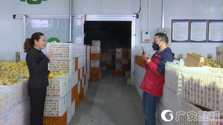 贝壳直播吧_贝壳网直播_贝壳直播平台