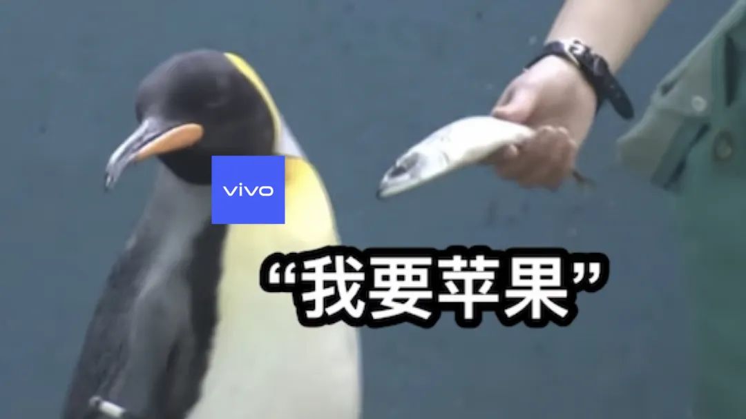 苹果动态照片原理_ios美拍live_安卓动态照片格式差异