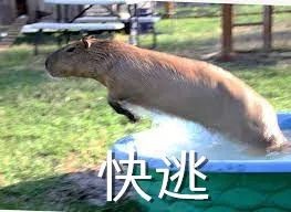 Switch游戏新闻_Switch游戏更新_游戏热门新闻