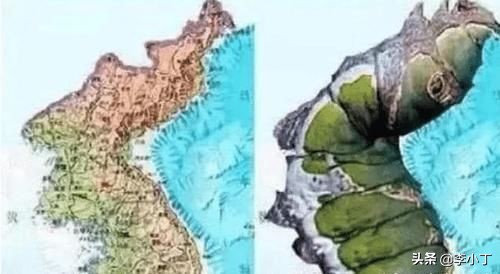 中国地图公鸡日本虫子_朝鲜地图像什么_国家地图形状