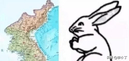 中国地图公鸡日本虫子_国家地图形状_朝鲜地图像什么