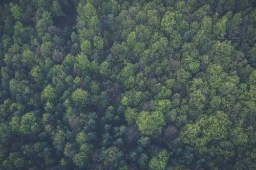 逆向思维解决问题_生活逆向思维应用故事_个人利益挂钩问题解决