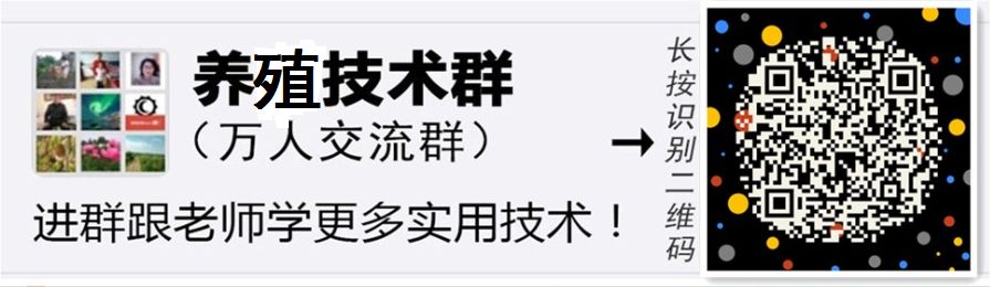 【技术】羊痘的症状与治疗方法