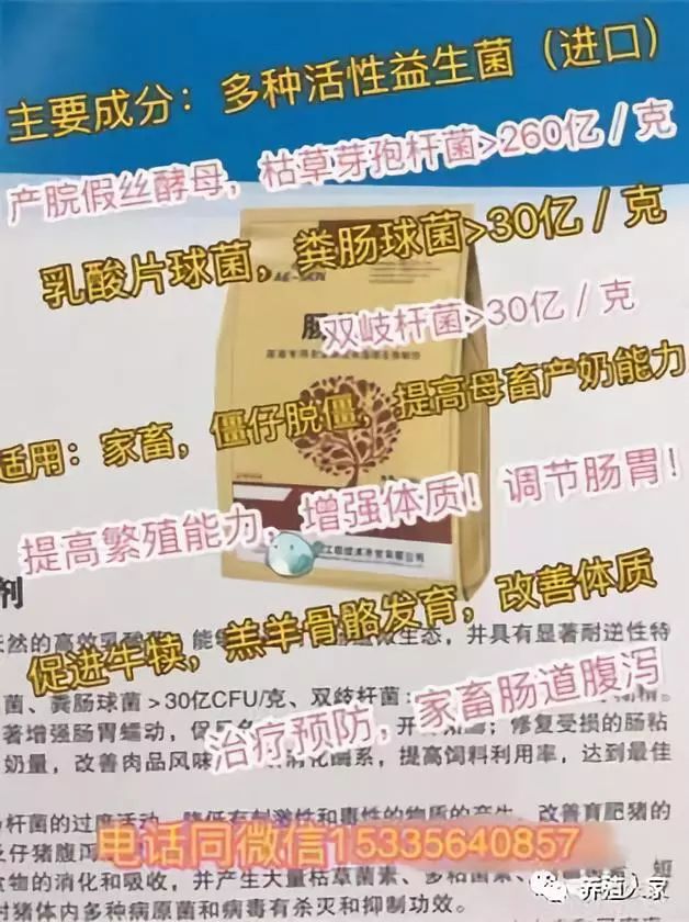 羊痘病的治疗_羊痘病用什么药最好_羊痘治疗方案