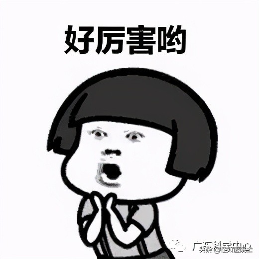 遗传算法应用生活实例_ 达尔文物种起源进化论 _