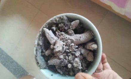 养生小知识_生活应用方面的知识_日常生活小常识