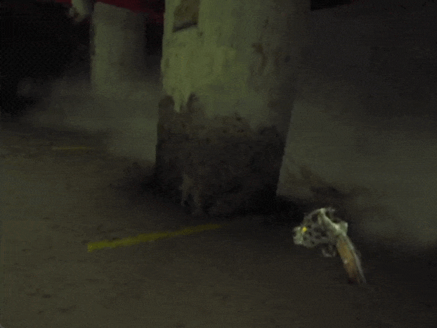 小游戏小马宝莉_小马宝莉儿童游戏_小马宝莉游戏专题