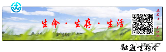 中国经济昆虫志 下载_昆虫志pdf下载_中国昆虫志pdf百度云